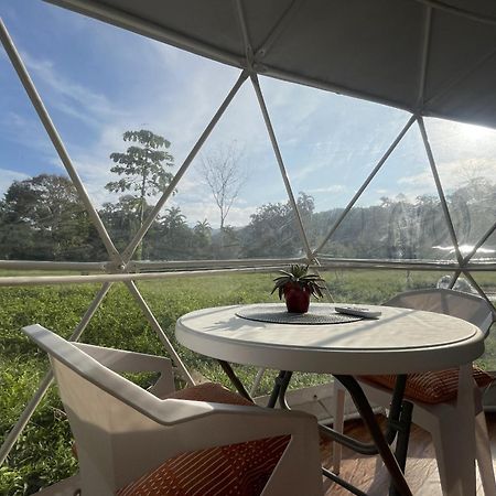 La Comarca River Glamping Dome Near מנואל אנטוניו מראה חיצוני תמונה
